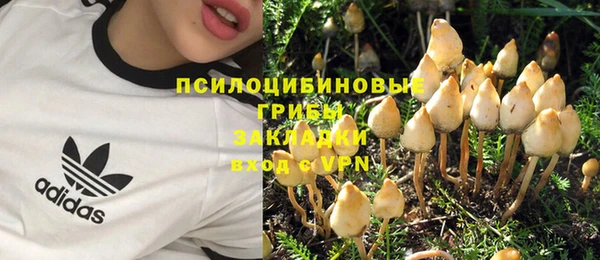 прущая мука Заводоуковск