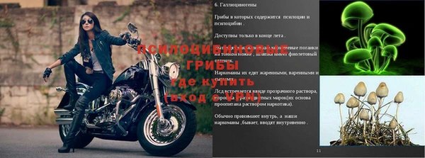 прущая мука Заводоуковск
